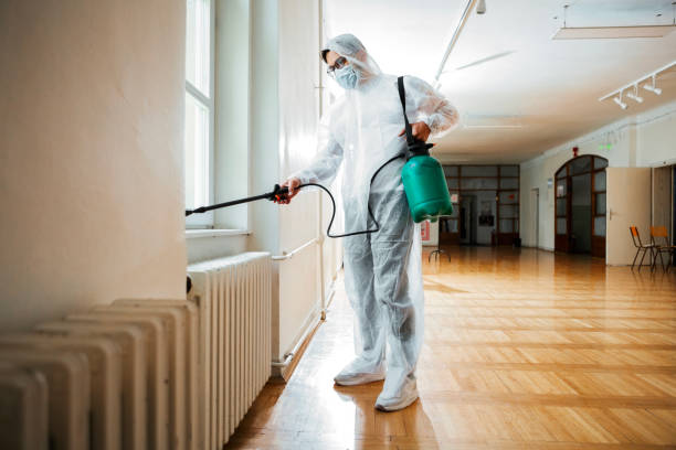 Best Real Estate Pest Inspections  in Cadillac, MI